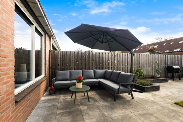 Scholekster 41_31.jpg